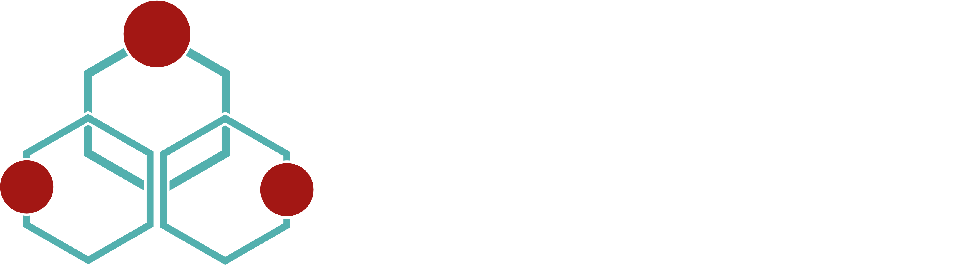 Sistem Kelembagaan Logo